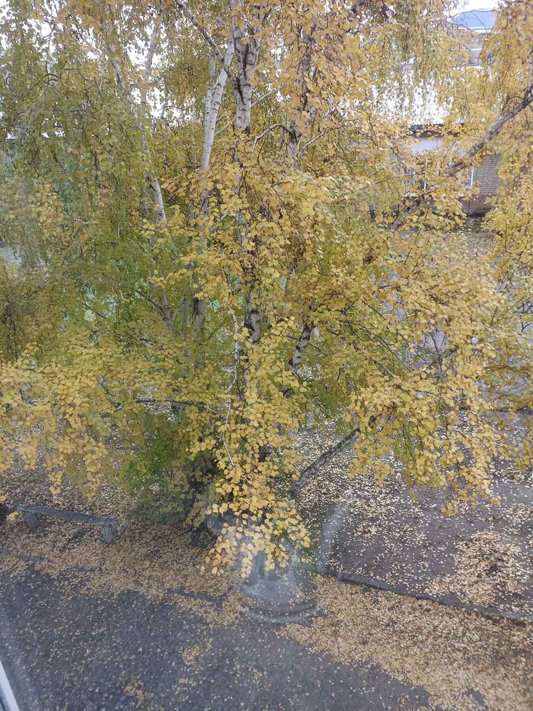 Золотая осень на Байкале